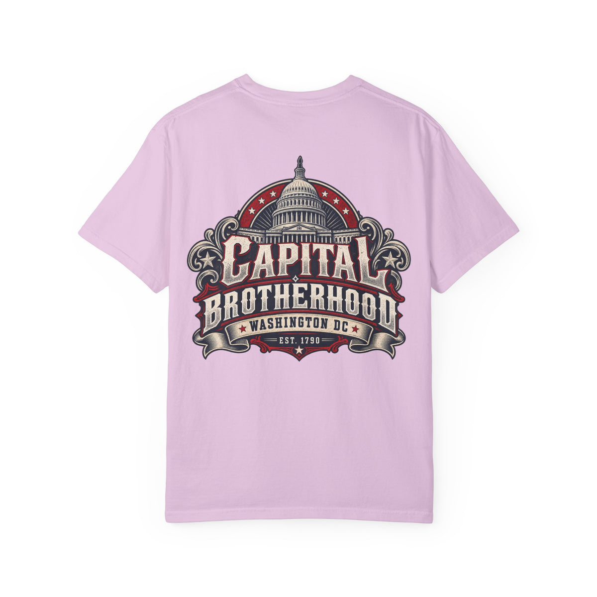Washington DC Capital Brotherhood Unisex Comfort Color 1717 Streetwear Graphic Tee