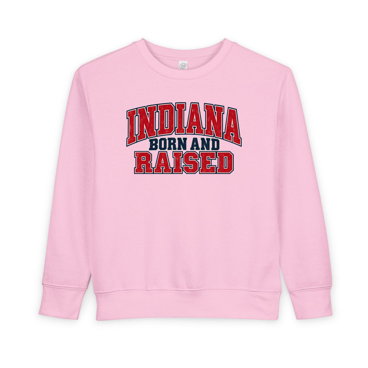 Indiana Born and Raised Vintage Collegiate Unisex Toddler Sweatshirt