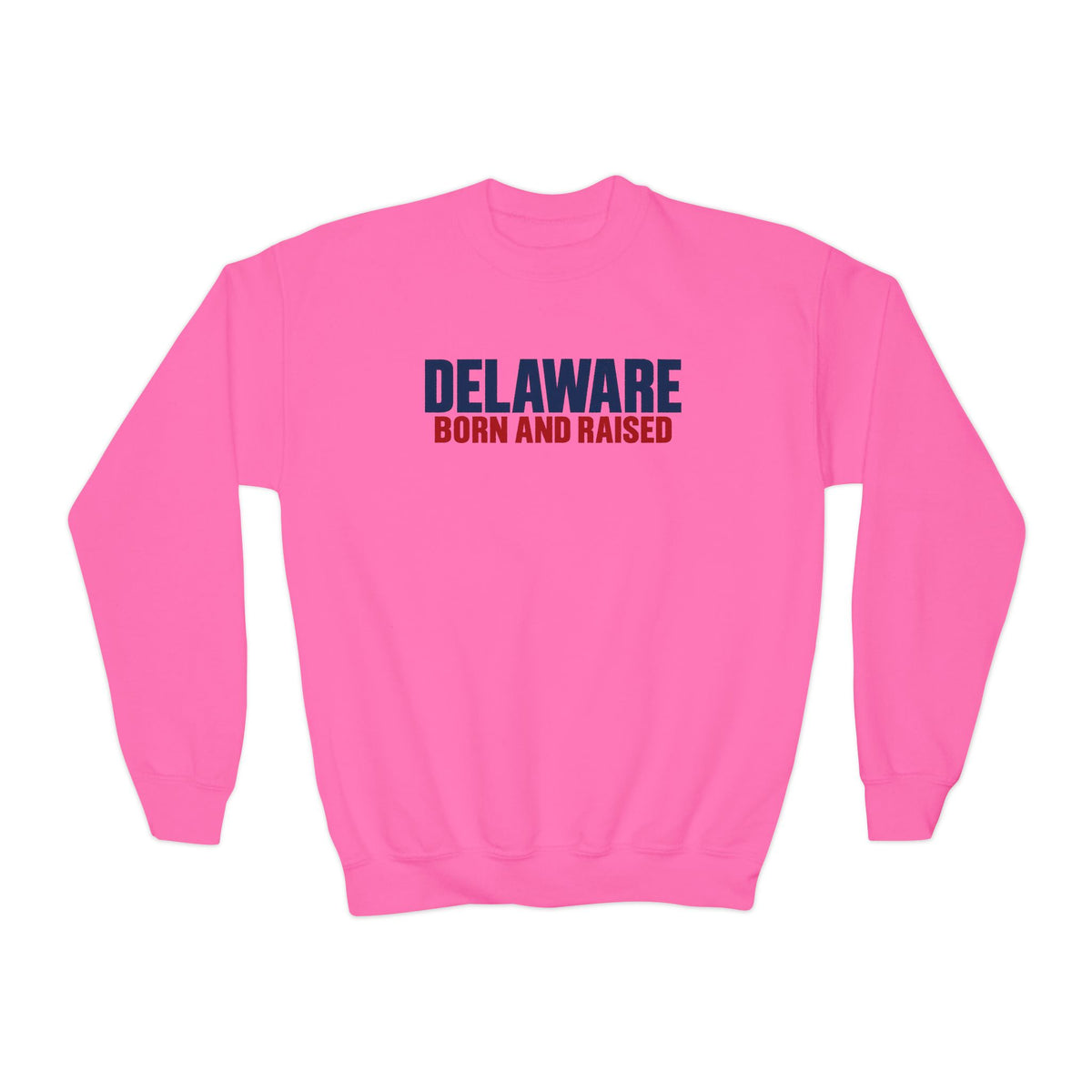 Delaware Born and Raised Minimal Modern Unisex Youth Crewneck Sweatshirt Graphic
