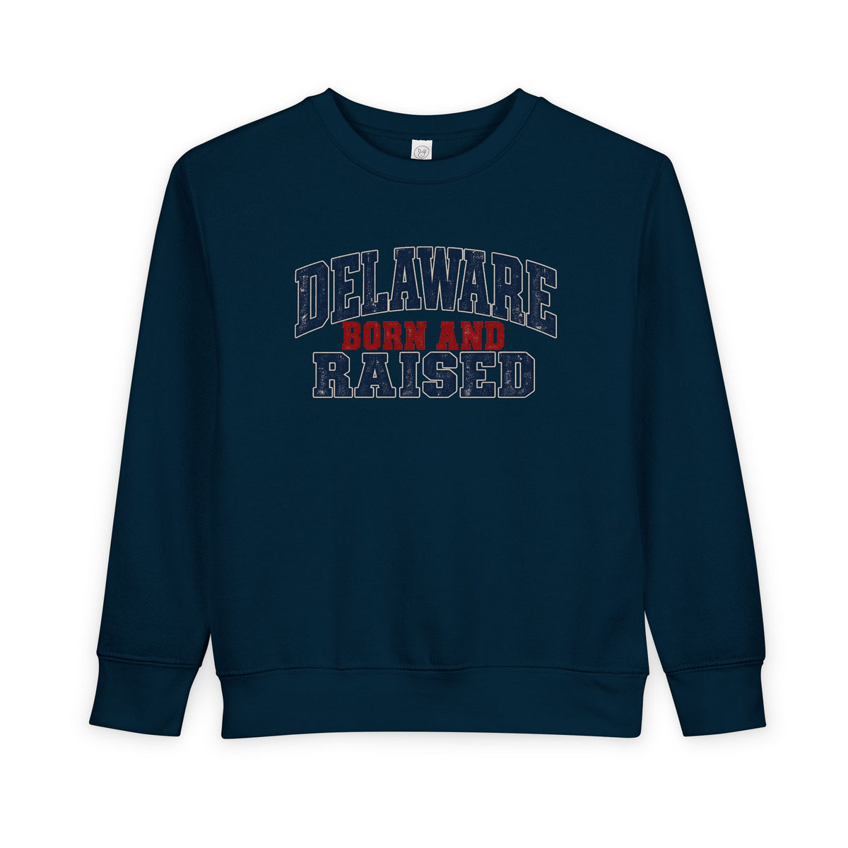 Delaware Born and Raised Rustic Heritage Unisex Toddler Sweatshirt
