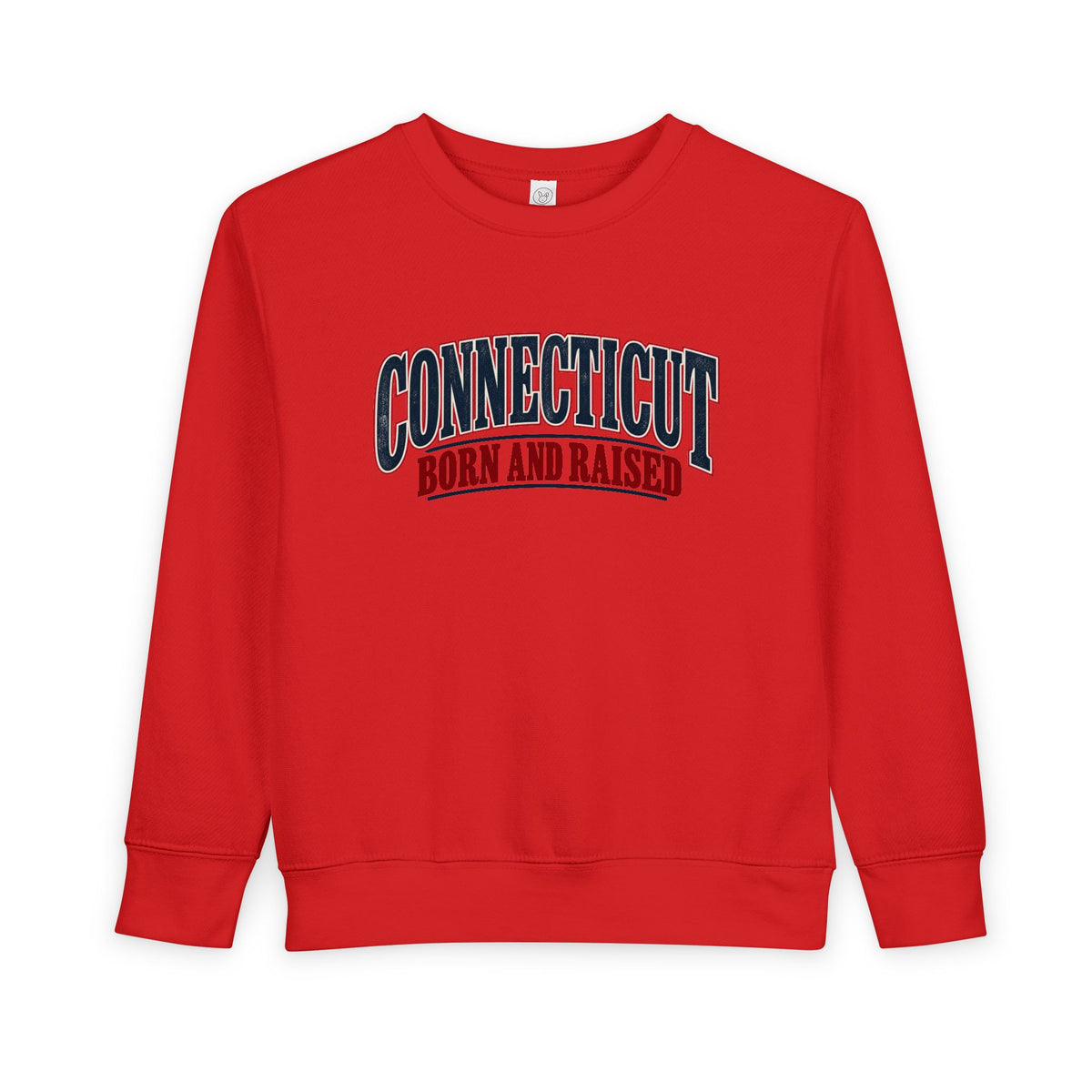 Connecticut Born and Raised Classic Souvenir Unisex Toddler Sweatshirt