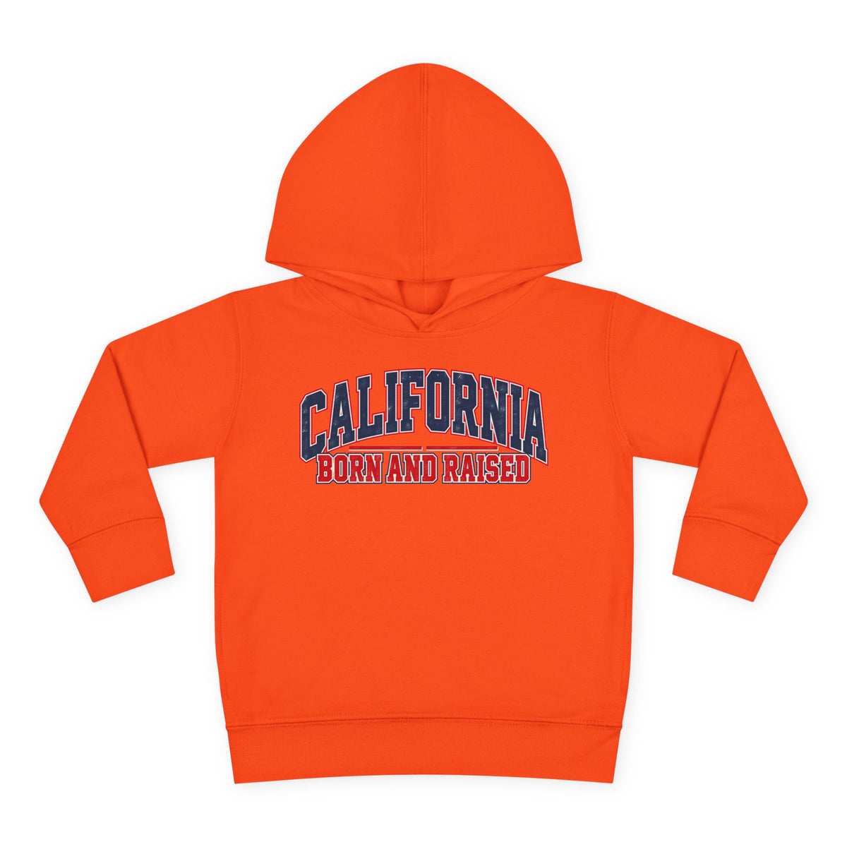California Born and Raised Vintage Collegiate Unisex Toddler Pullover Fleece Hoodie