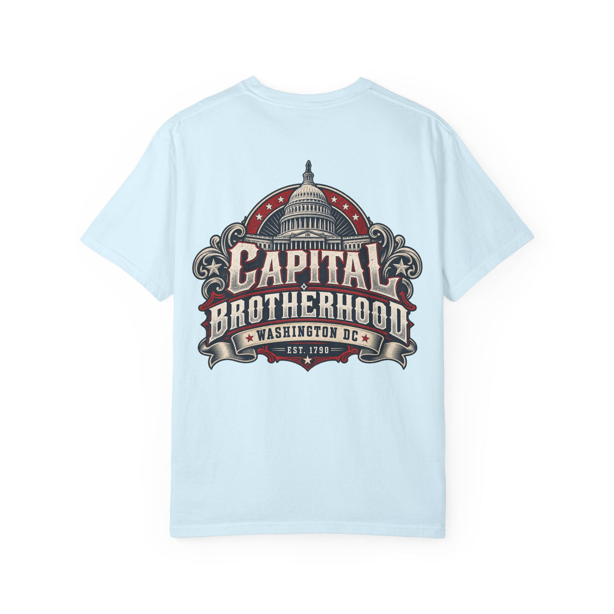 Washington DC Capital Brotherhood Unisex Comfort Color 1717 Streetwear Graphic Tee