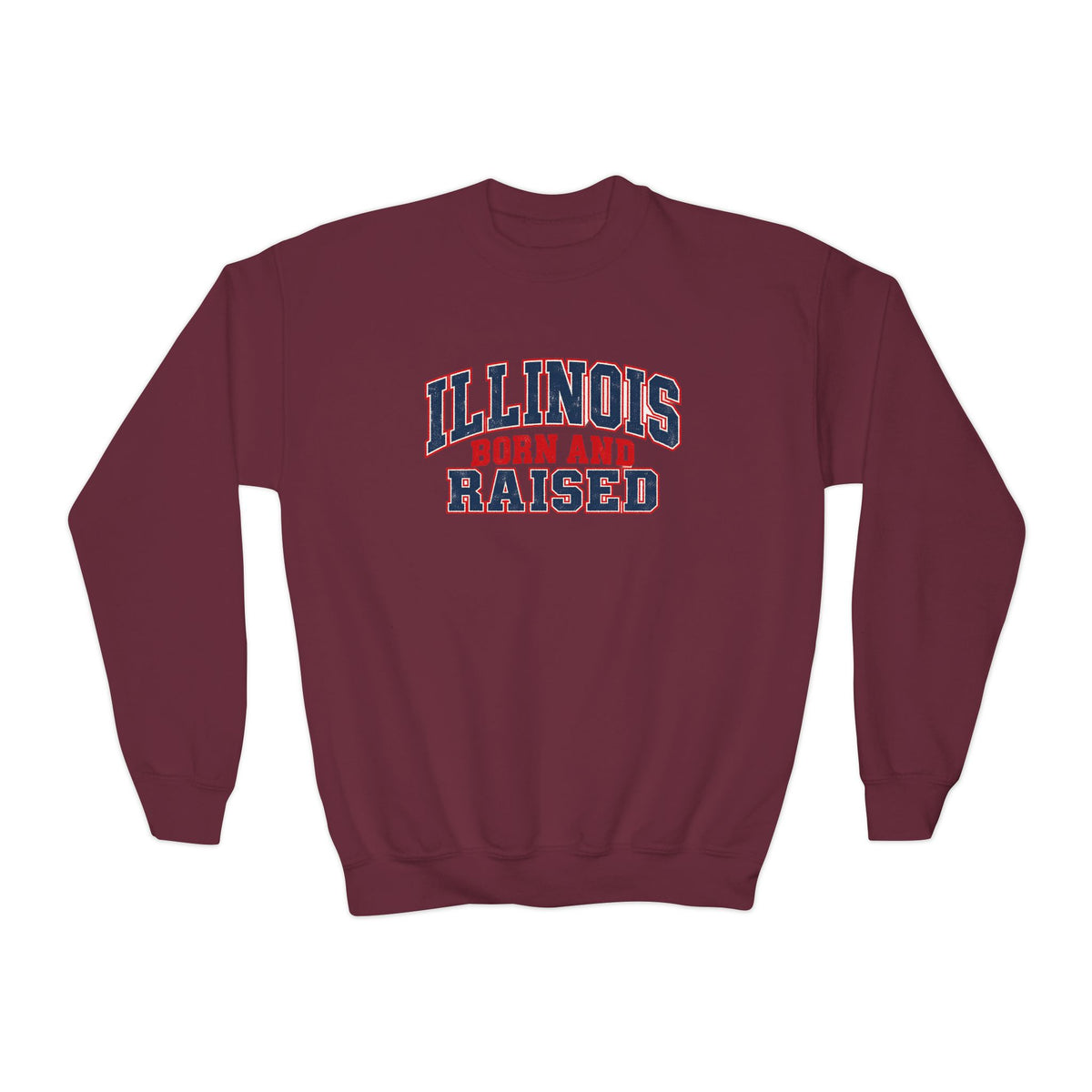 Illinois Born and Raised Vintage Collegiate Unisex Youth Crewneck Sweatshirt Graphic