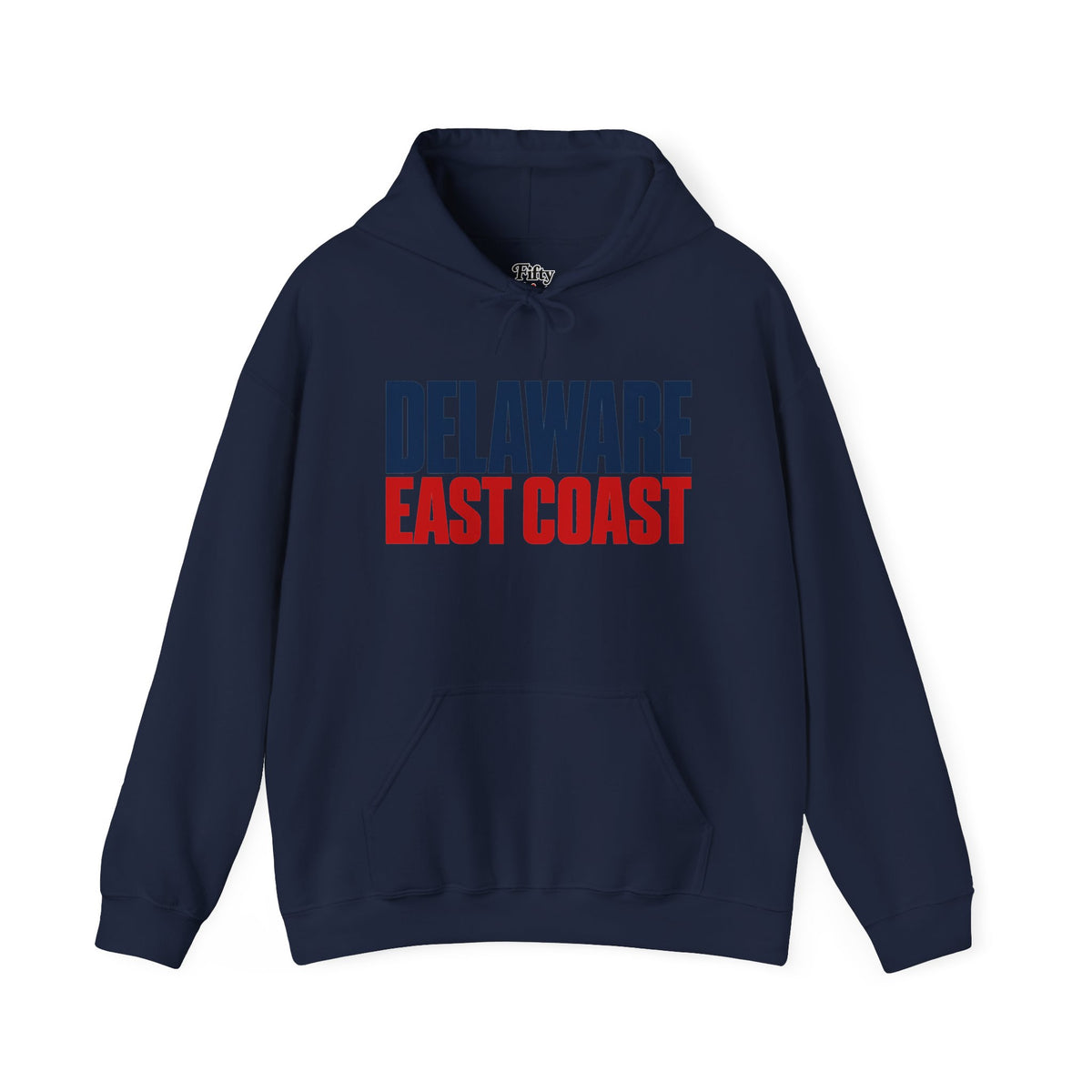 Delaware East Coast Unisex Hoodie State Name Graphic