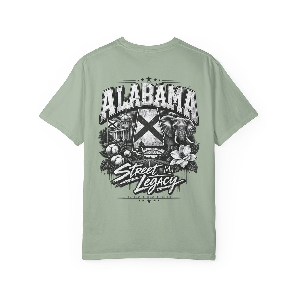 Alabama Street Legacy Unisex Comfort Color 1717 Streetwear Graphic Tee