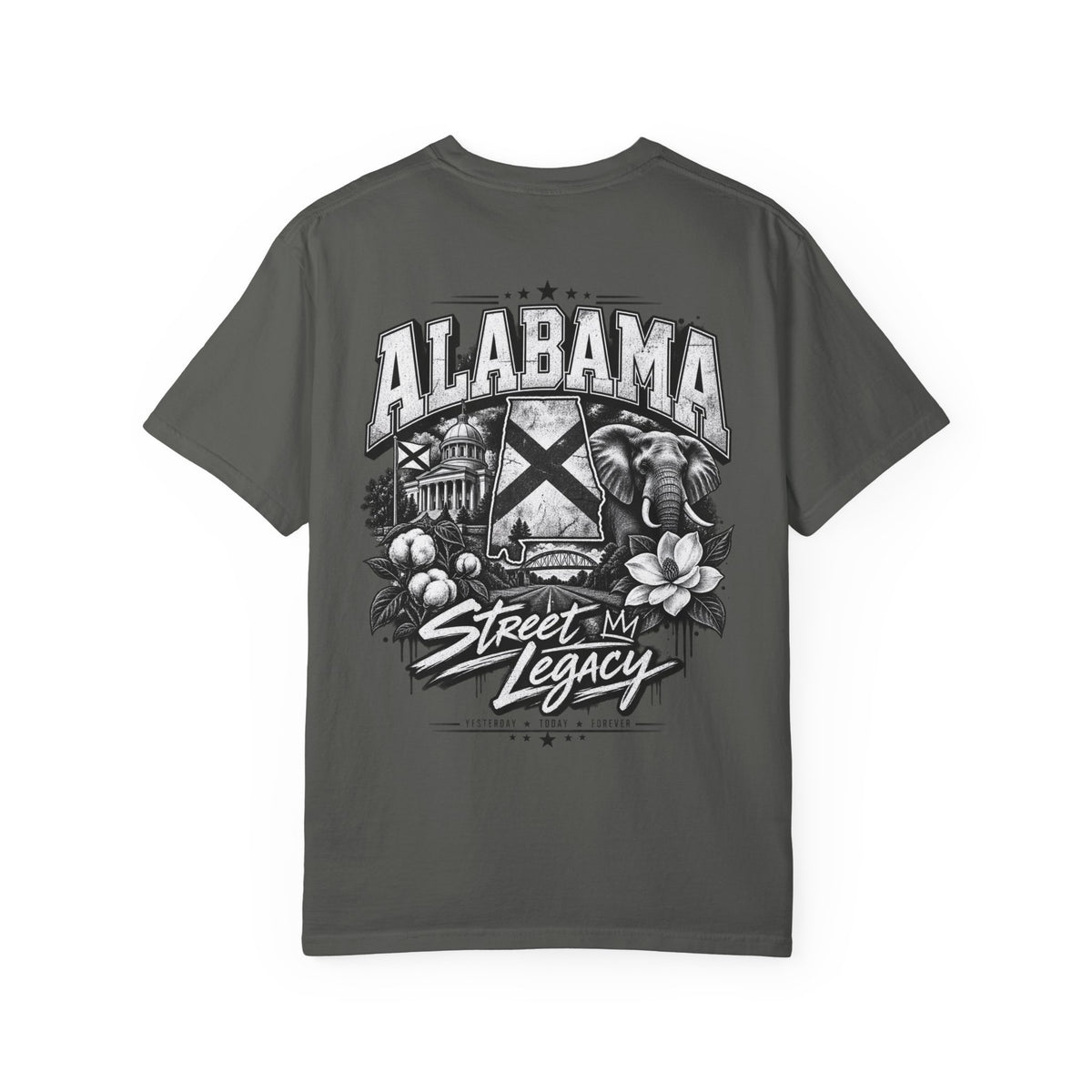 Alabama Street Legacy Unisex Comfort Color 1717 Streetwear Graphic Tee