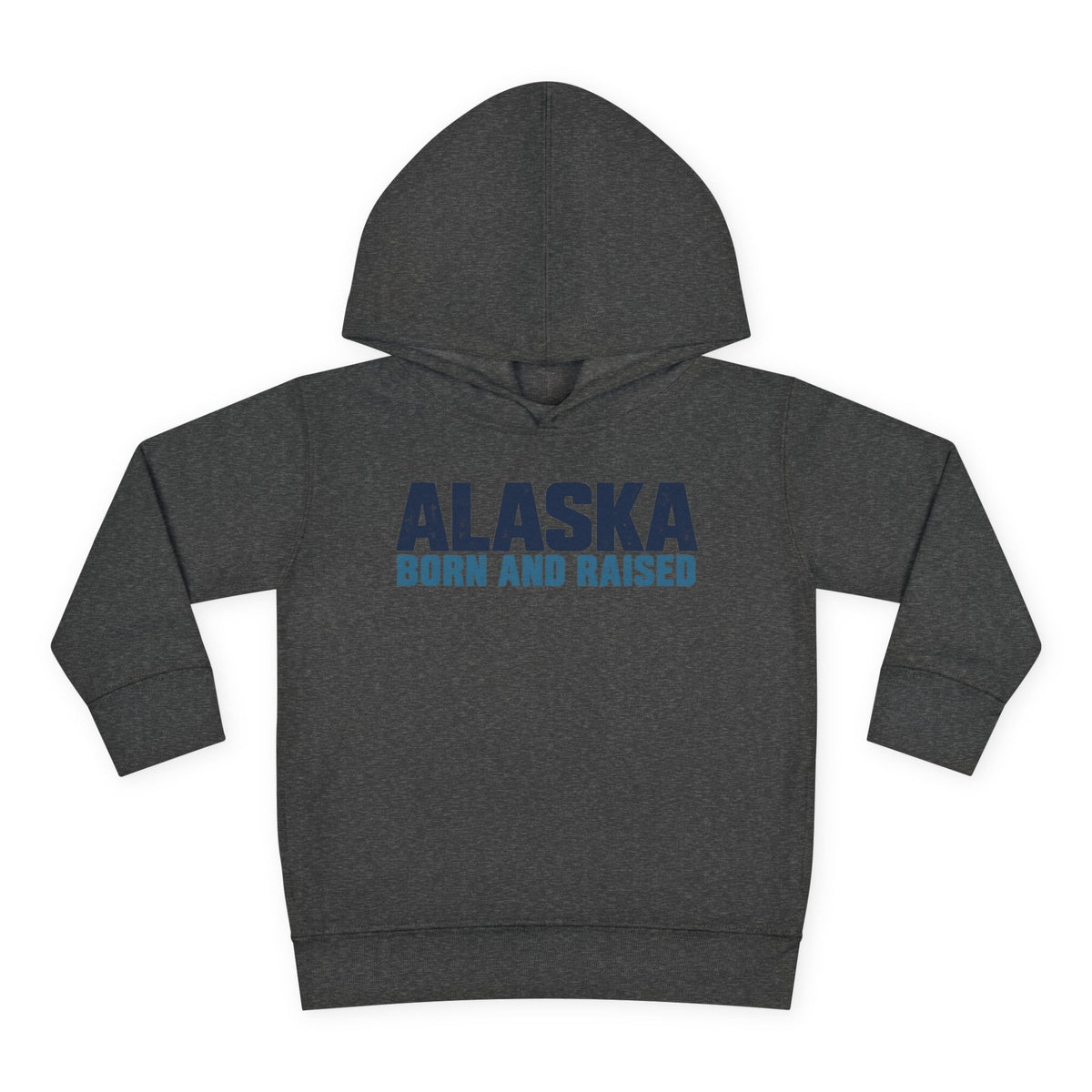Alaska Born and Raised Modern Streetwear Unisex Toddler Pullover Fleece Hoodie
