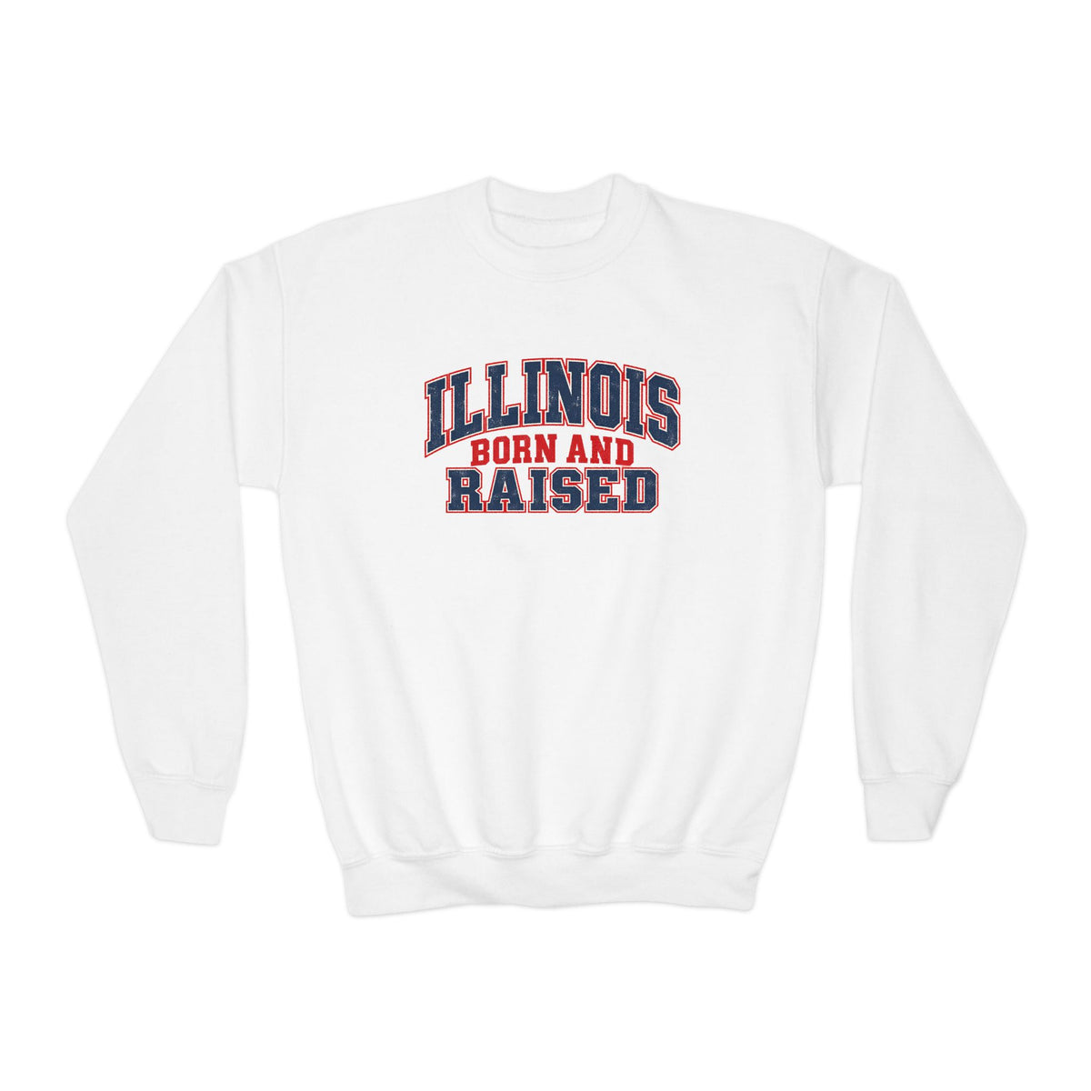 Illinois Born and Raised Vintage Collegiate Unisex Youth Crewneck Sweatshirt Graphic