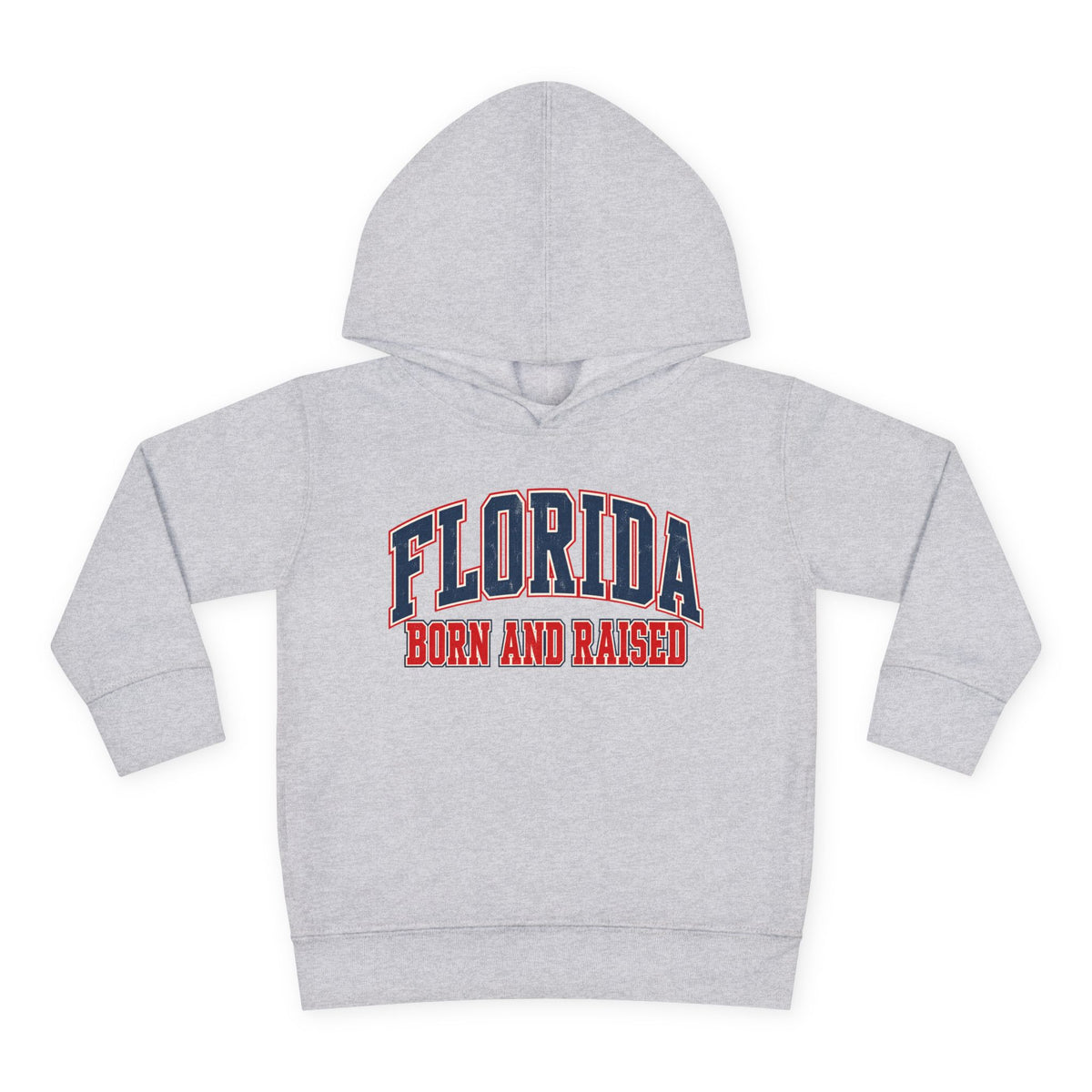 Florida Born and Raised Vintage Collegiate Unisex Toddler Pullover Fleece Hoodie