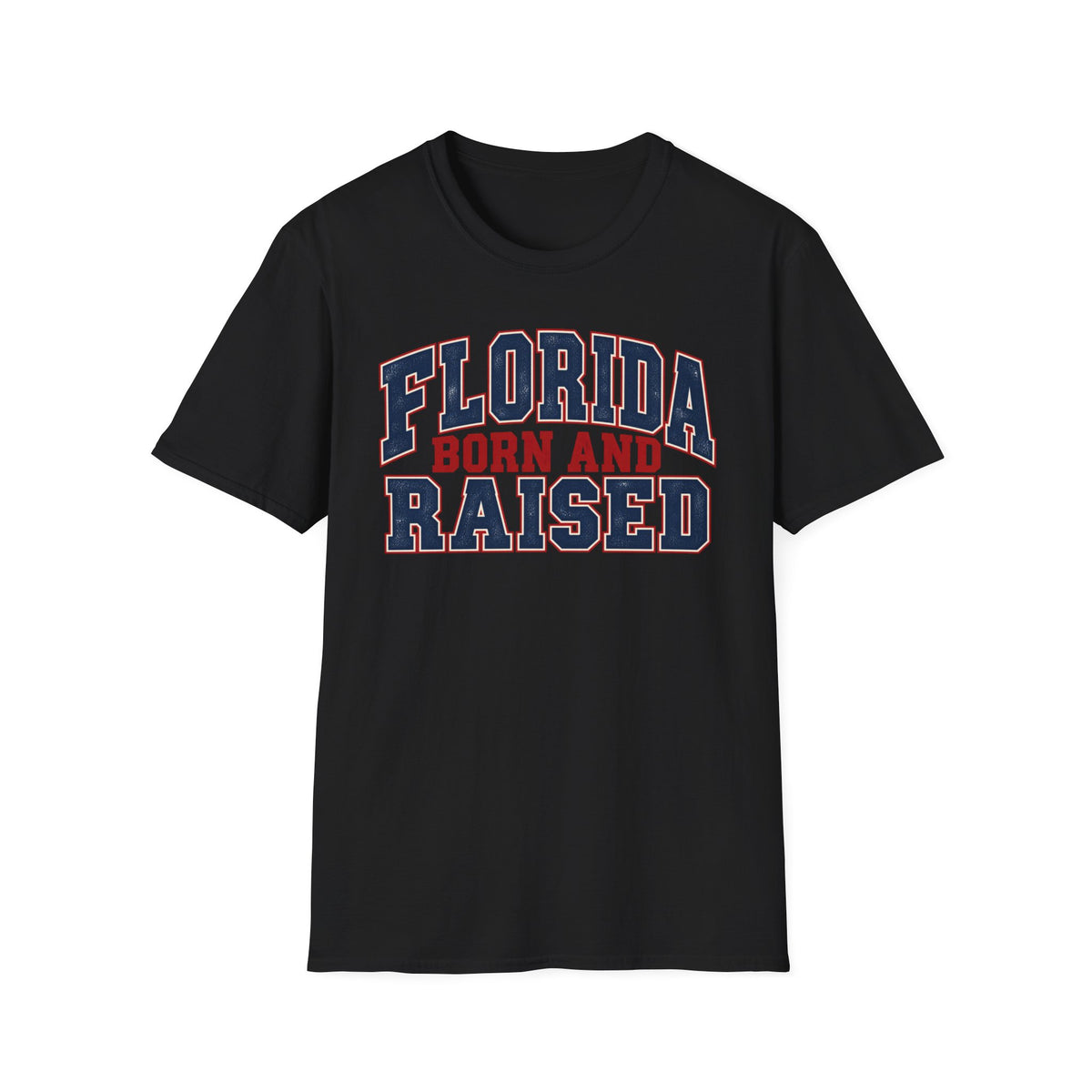 Florida Born and Raised Unisex Softstyle T Shirt State Name Graphic Tee