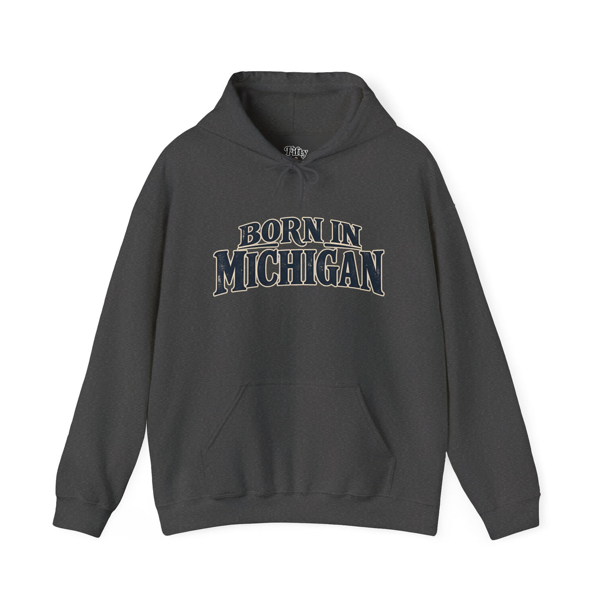 Born in Michigan Unisex Hoodie State Name Graphic
