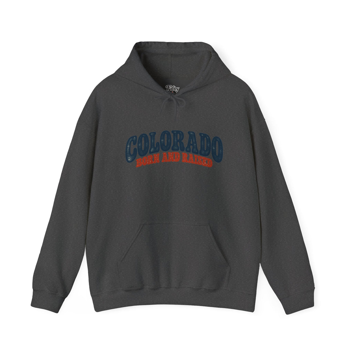 Colorado Born and Raised Retro 1970s Unisex Hoodie Graphic