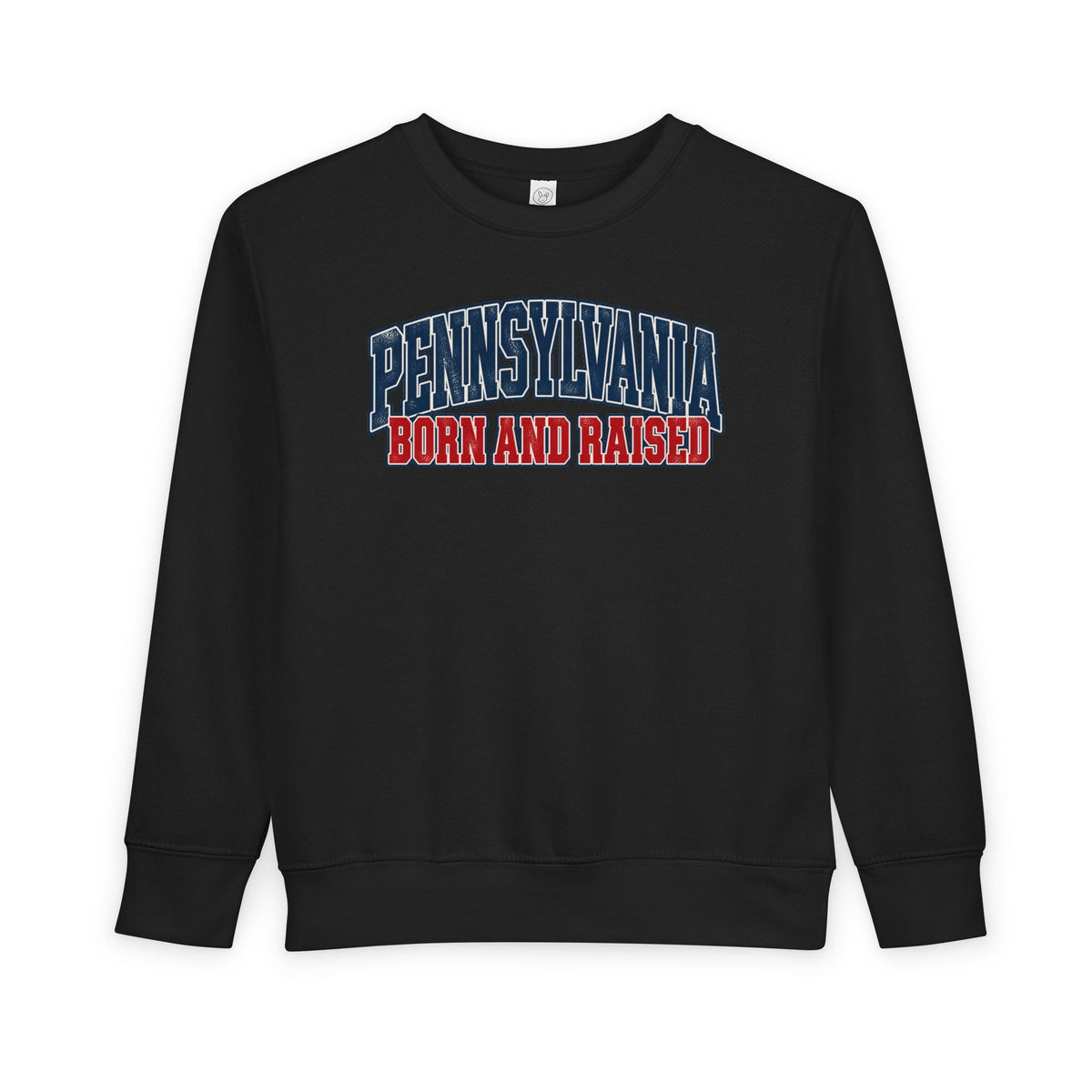 Pennsylvania Born and Raised Vintage Collegiate Unisex Toddler Sweatshirt