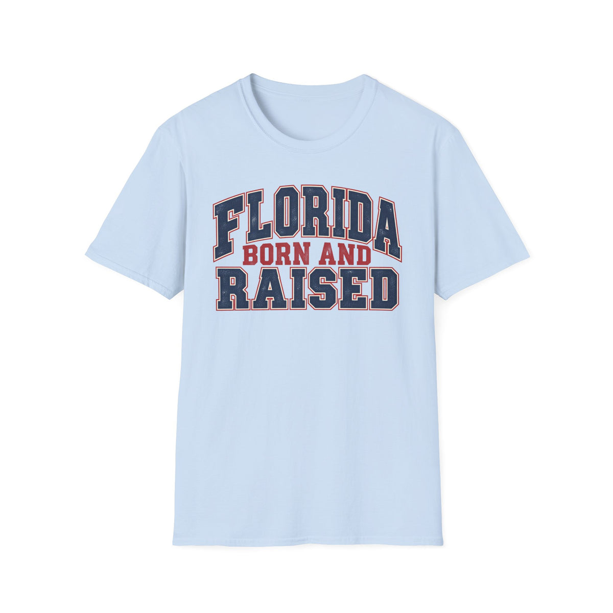Florida Born and Raised Unisex Softstyle T Shirt State Name Graphic Tee