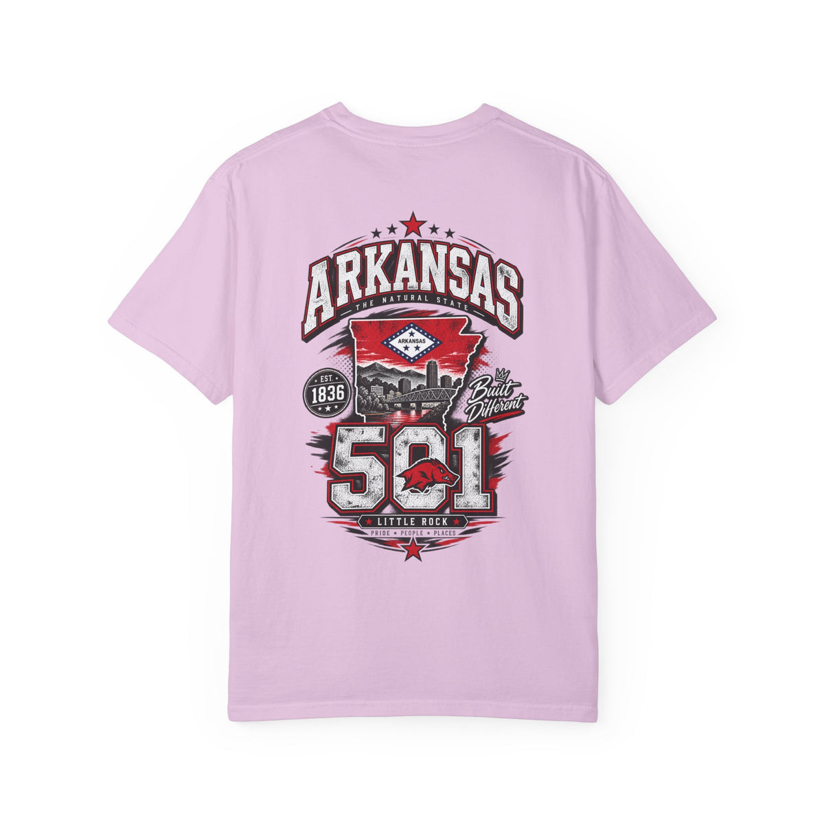 Arkansas 501 Unisex Comfort Color 1717 Streetwear Graphic Tee