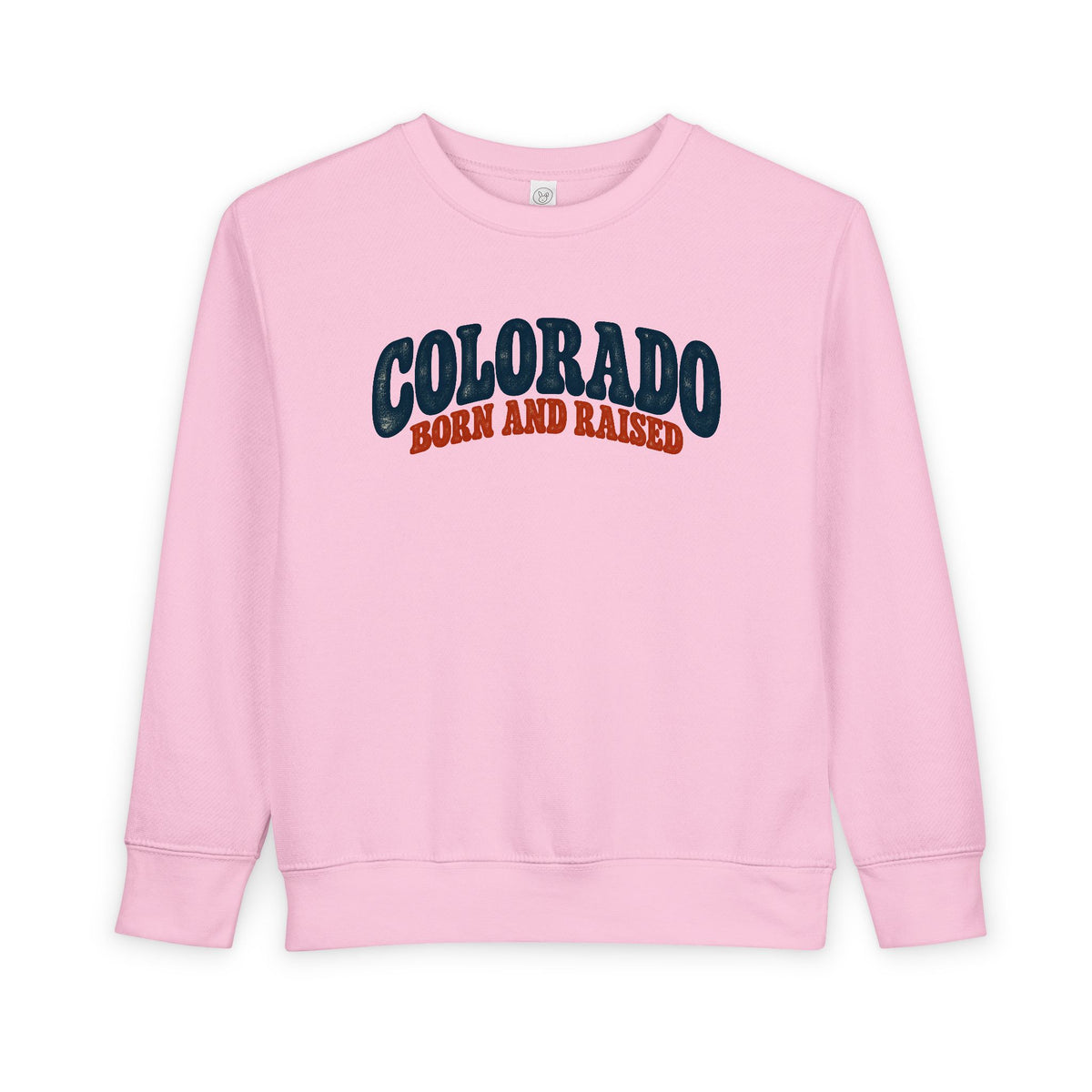 Colorado Born and Raised Retro 1970s Unisex Toddler Sweatshirt