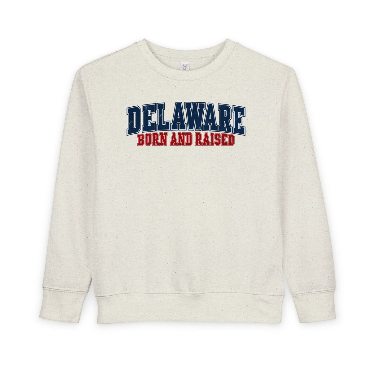 Delaware Born and Raised Vintage Collegiate Unisex Toddler Sweatshirt