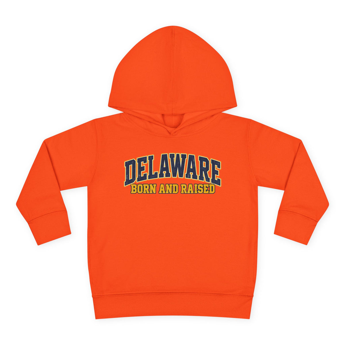 Delaware Born and Raised Old-School Athletic Unisex Toddler Pullover Fleece Hoodie