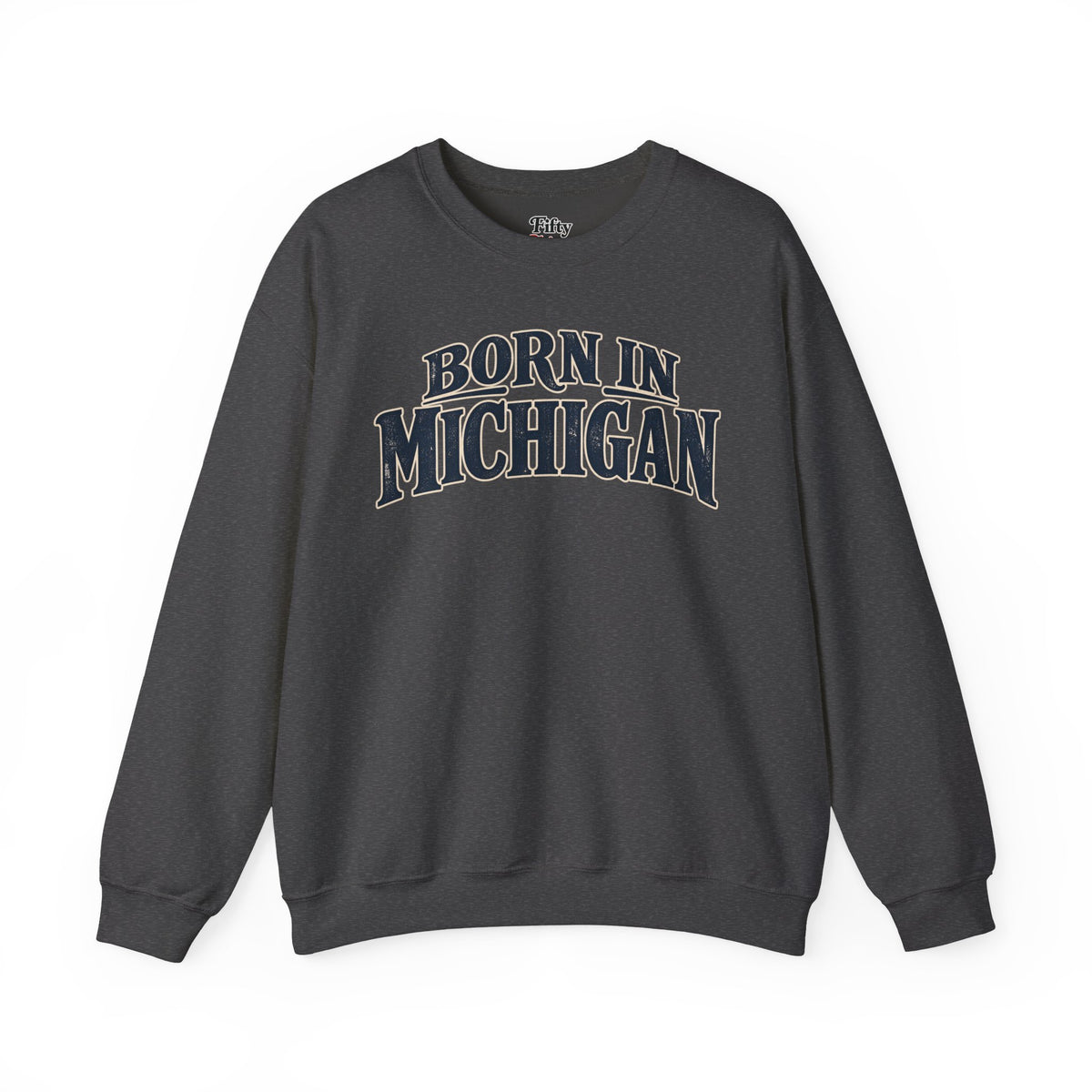 Born in Michigan Unisex Crewneck Sweatshirt State Name Graphic