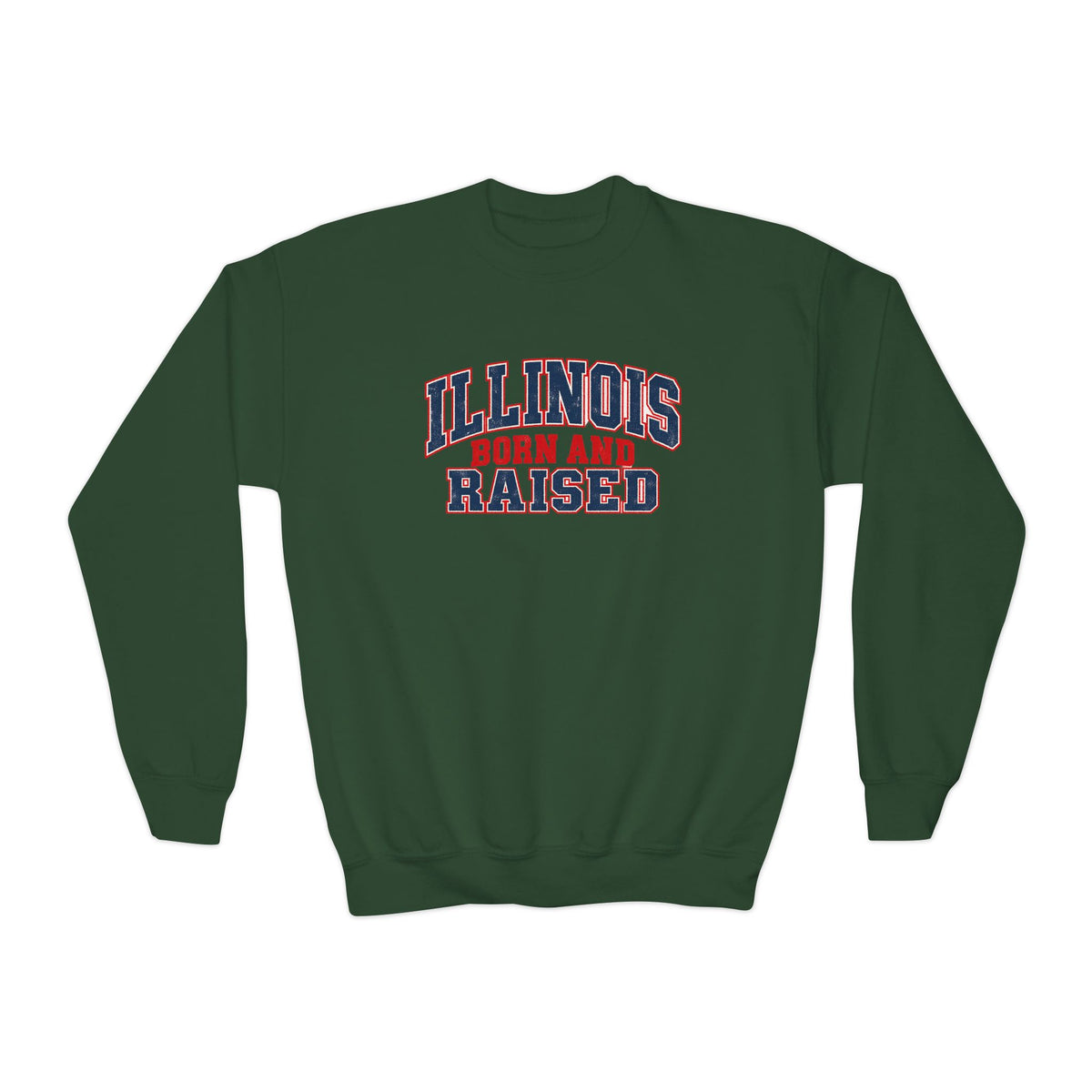 Illinois Born and Raised Vintage Collegiate Unisex Youth Crewneck Sweatshirt Graphic