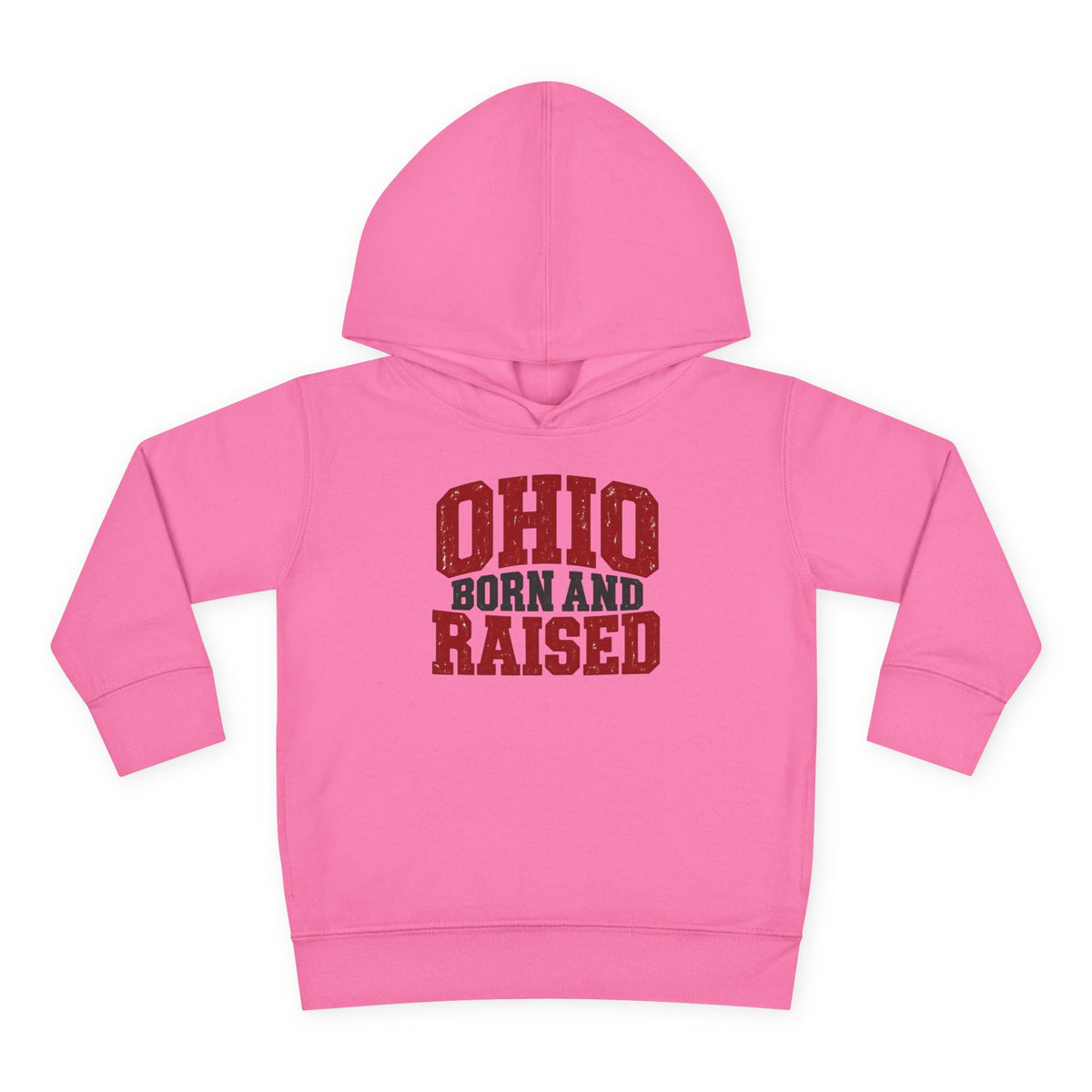Ohio Born and Raised Midwest Heritage Unisex Toddler Pullover Fleece Hoodie