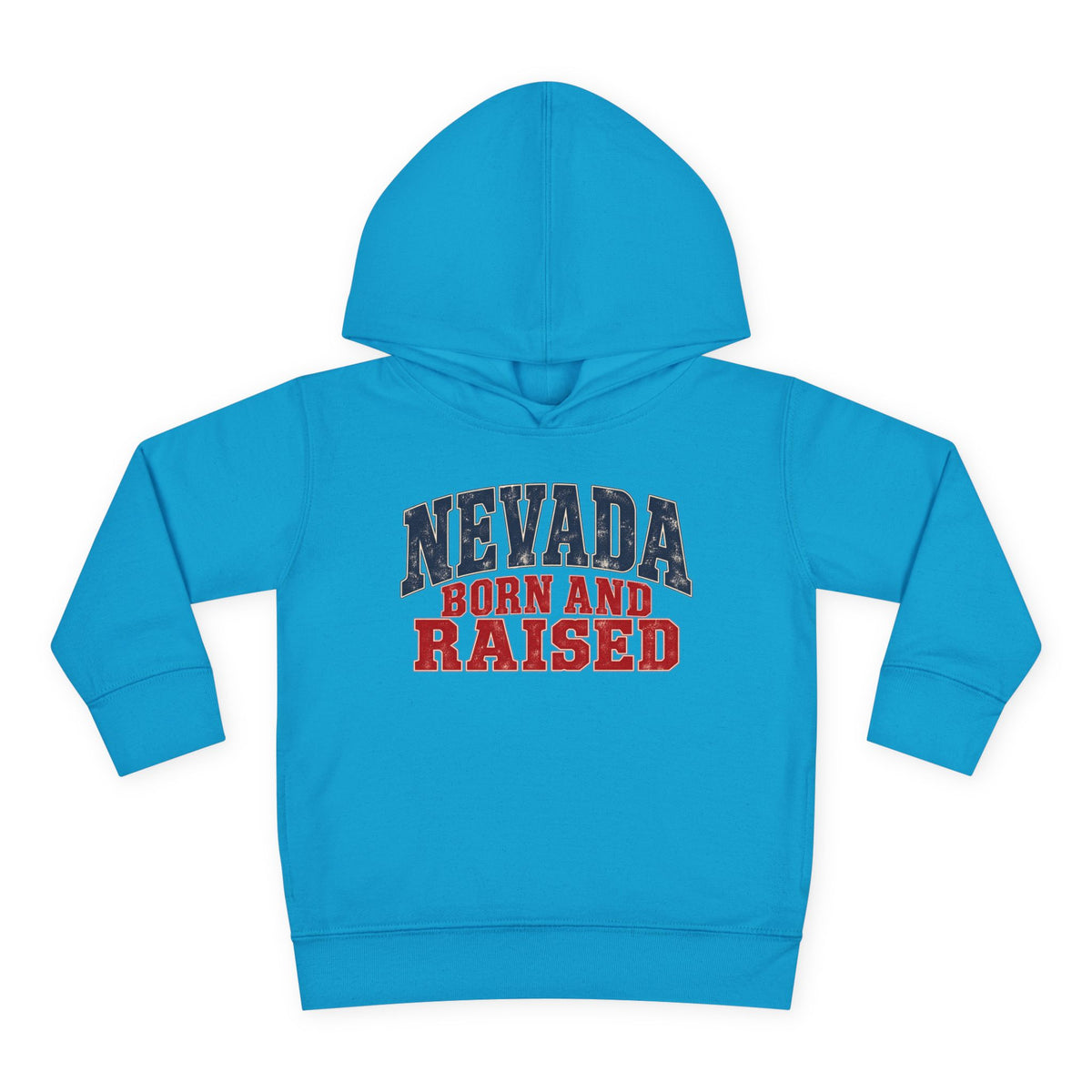 Nevada Born and Raised Desert Heritage Unisex Toddler Pullover Fleece Hoodie