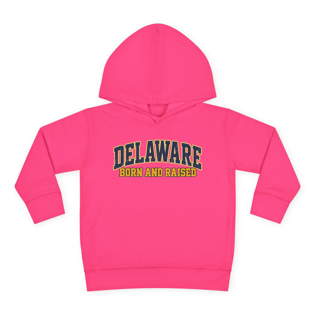 Delaware Born and Raised Old-School Athletic Unisex Toddler Pullover Fleece Hoodie