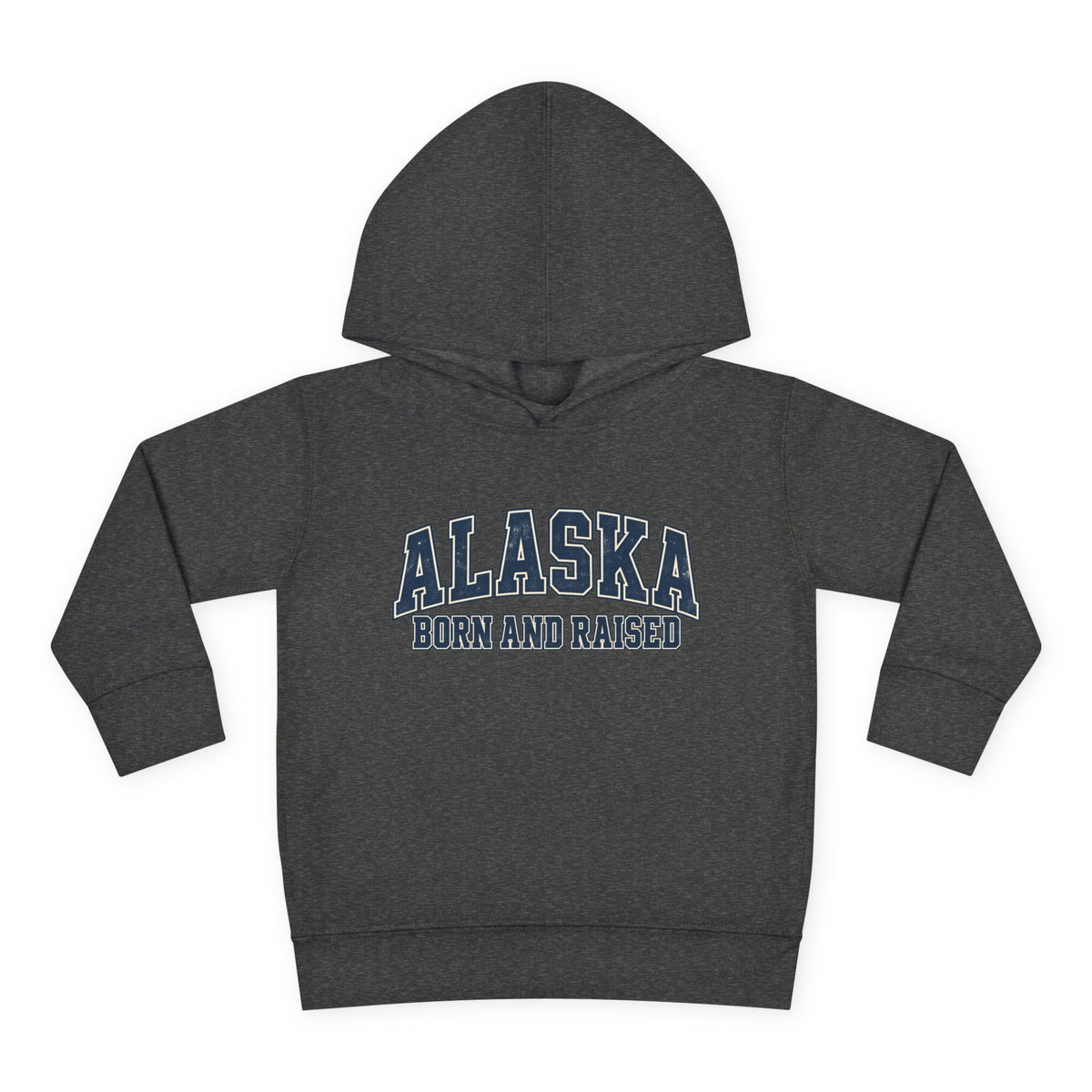 Alaska Born and Raised Classic Collegiate Unisex Toddler Pullover Fleece Hoodie