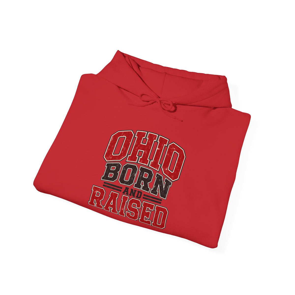 Ohio Born And Raised Unisex Hoodie State Name Graphic