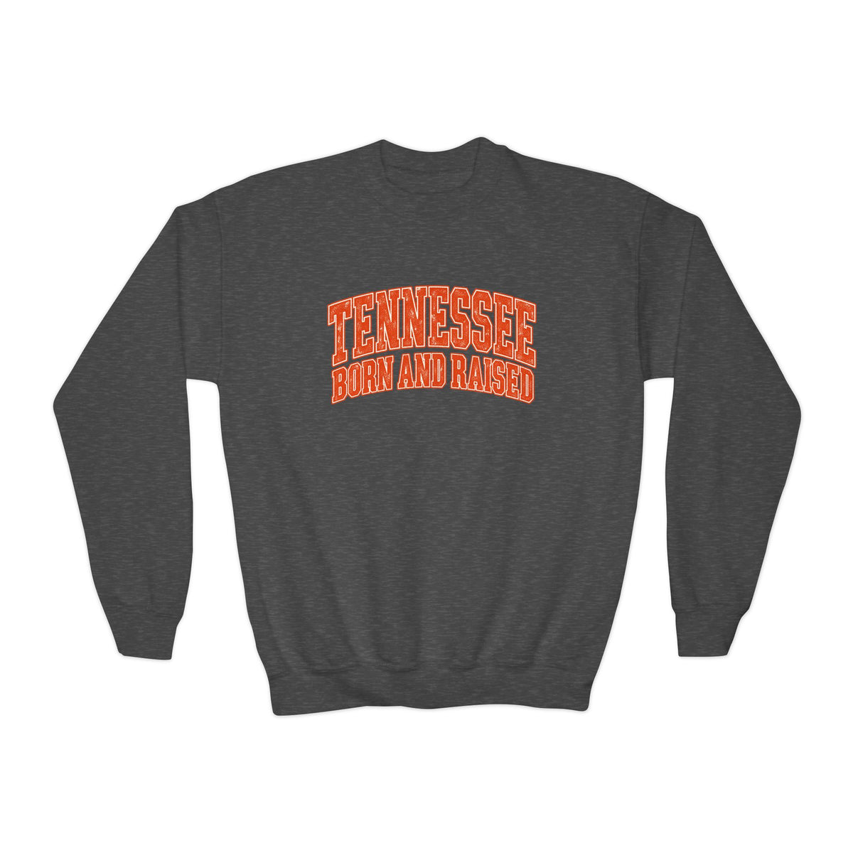 Tennessee Born and Raised Southern Collegiate Unisex Youth Crewneck Sweatshirt Graphic