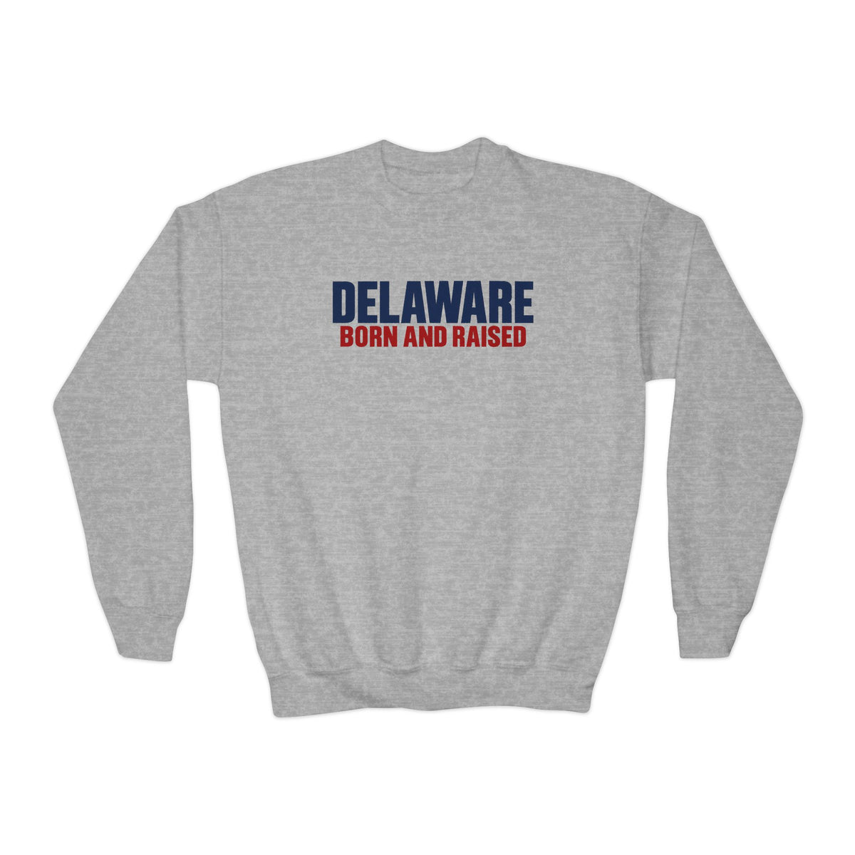 Delaware Born and Raised Minimal Modern Unisex Youth Crewneck Sweatshirt Graphic