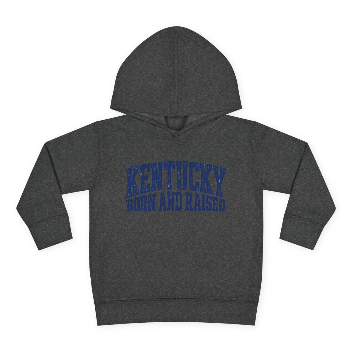 Kentucky Born and Raised Bold Athletic Unisex Toddler Pullover Fleece Hoodie