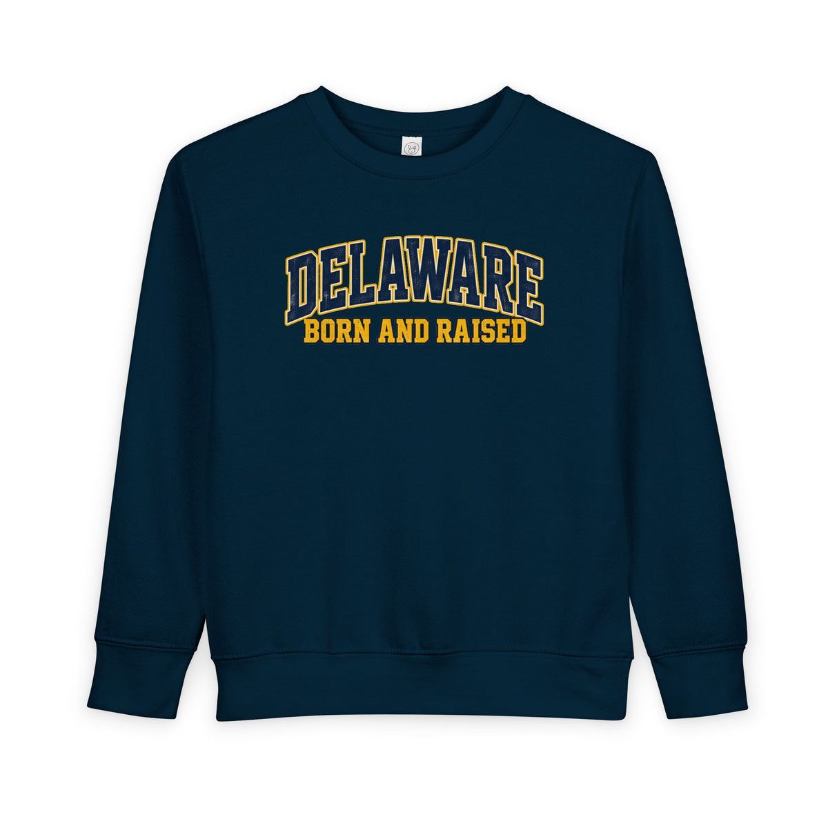 Delaware Born and Raised Old-School Athletic Unisex Toddler Sweatshirt