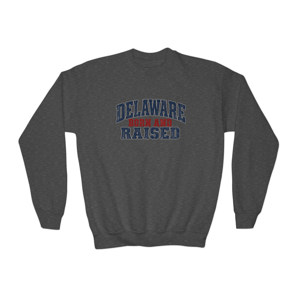 Delaware Born and Raised Rustic Heritage Unisex Youth Crewneck Sweatshirt Graphic