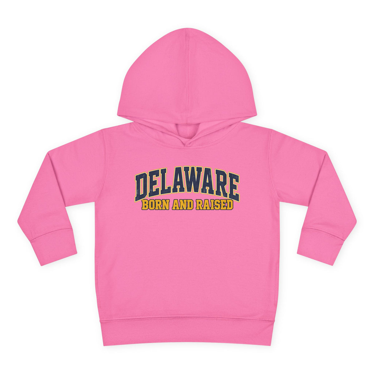 Delaware Born and Raised Old-School Athletic Unisex Toddler Pullover Fleece Hoodie