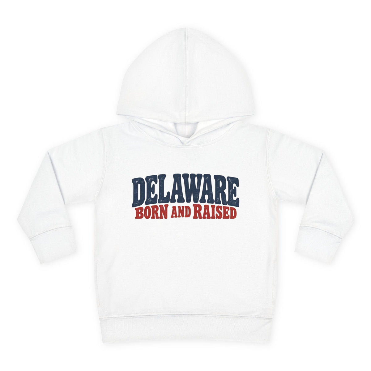 Delaware Born and Raised Retro 1970s Unisex Toddler Pullover Fleece Hoodie