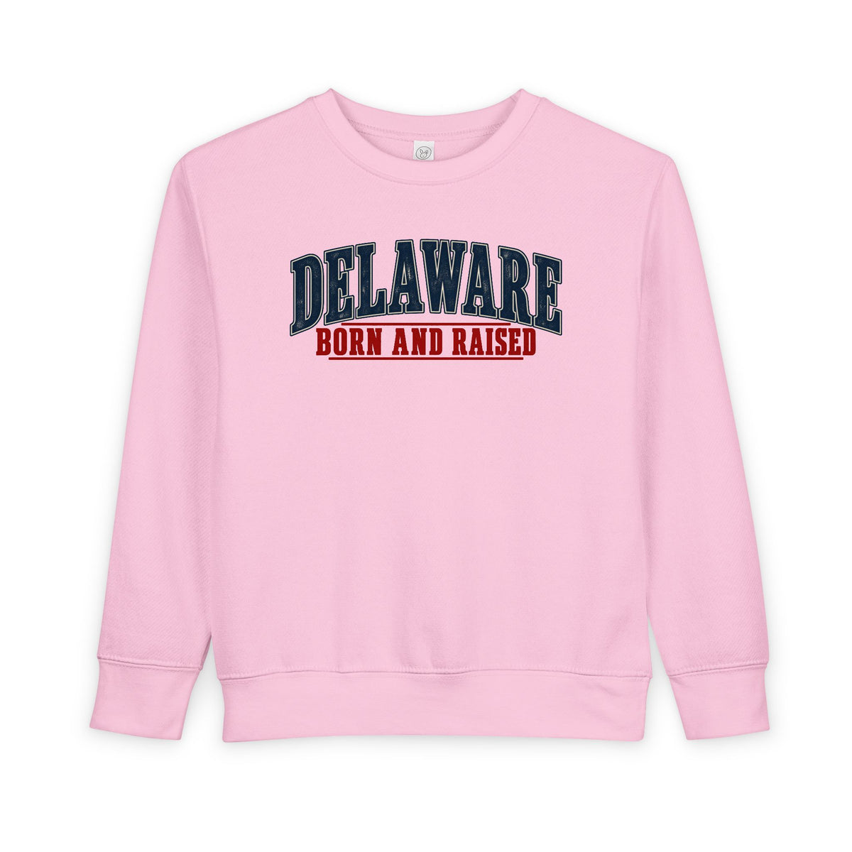 Delaware Born and Raised Classic Americana Unisex Toddler Sweatshirt