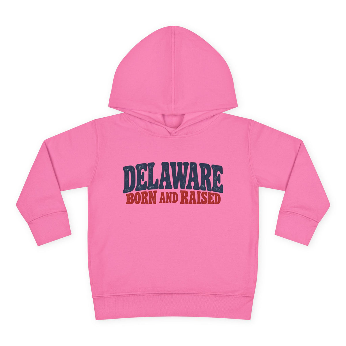 Delaware Born and Raised Retro 1970s Unisex Toddler Pullover Fleece Hoodie