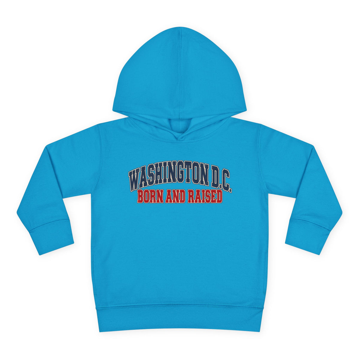Washington DC Born and Raised Classic Collegiate Unisex Toddler Pullover Fleece Hoodie