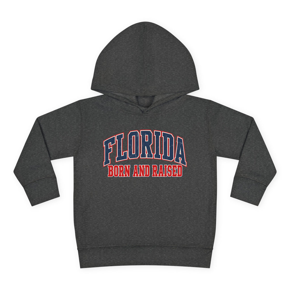 Florida Born and Raised Vintage Collegiate Unisex Toddler Pullover Fleece Hoodie