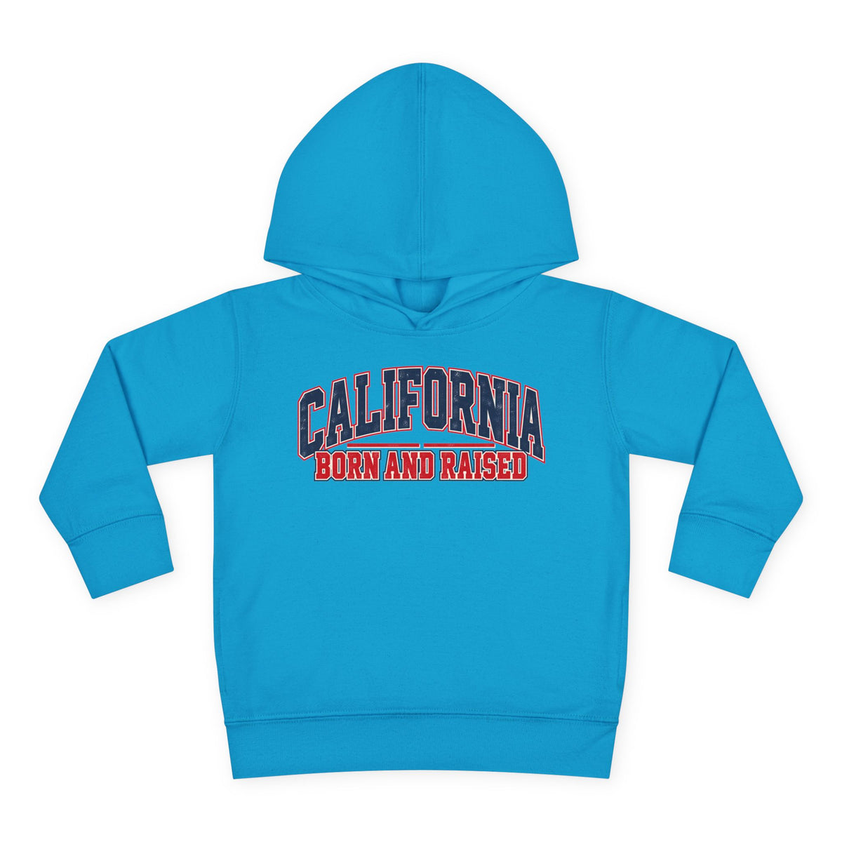 California Born and Raised Vintage Collegiate Unisex Toddler Pullover Fleece Hoodie