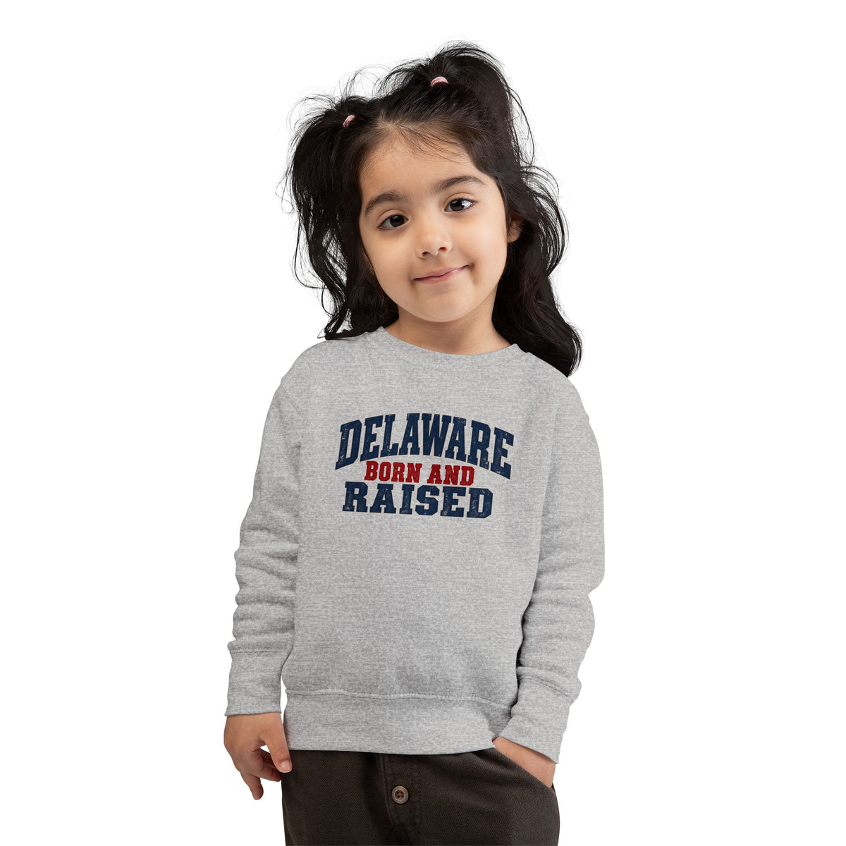 Delaware Born and Raised Rustic Heritage Unisex Toddler Sweatshirt
