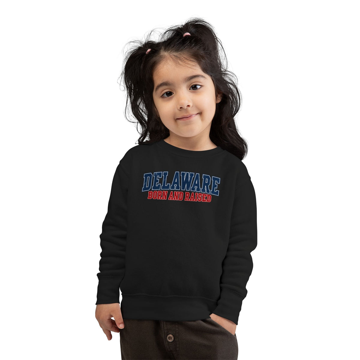 Delaware Born and Raised Vintage Collegiate Unisex Toddler Sweatshirt