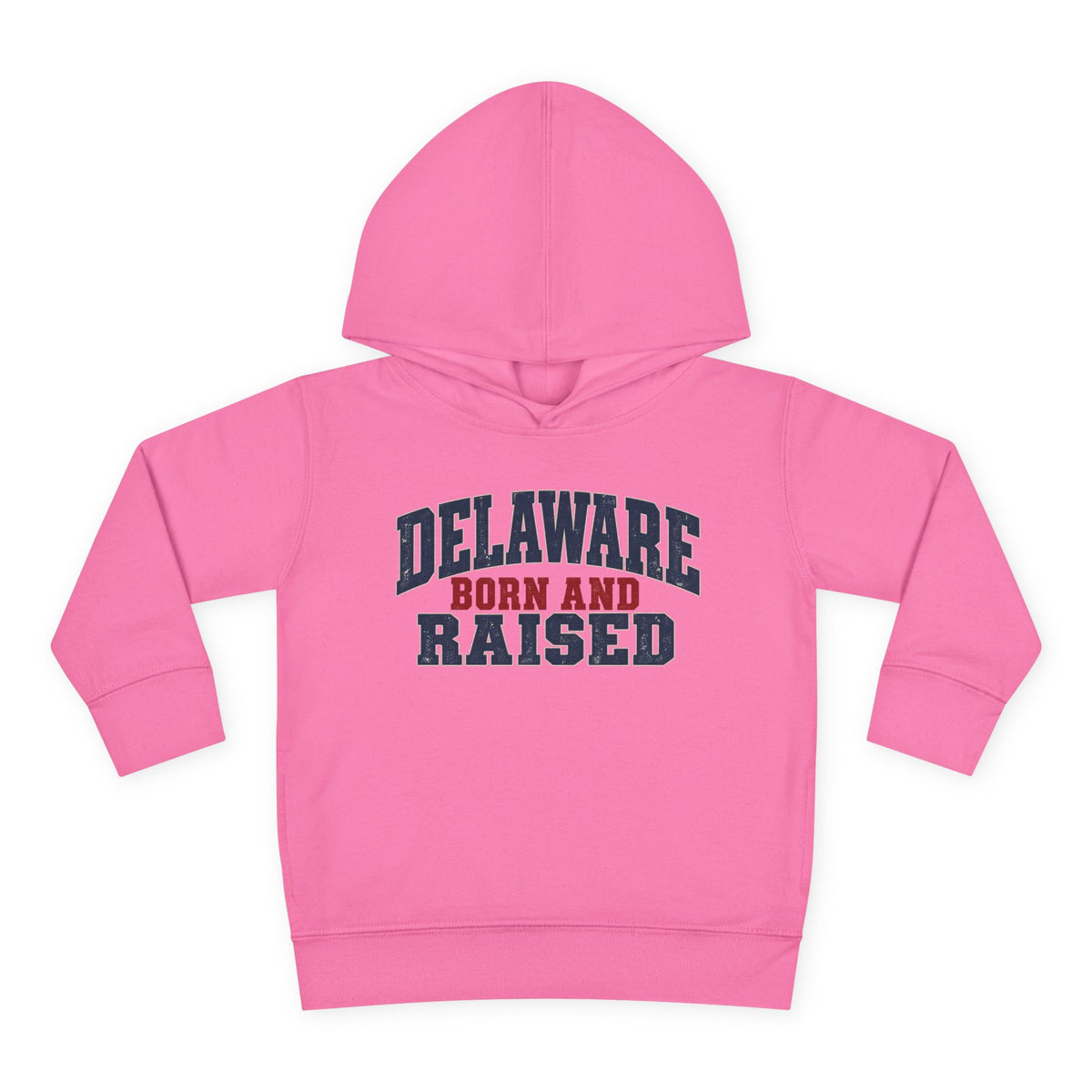 Delaware Born and Raised Rustic Heritage Unisex Toddler Pullover Fleece Hoodie