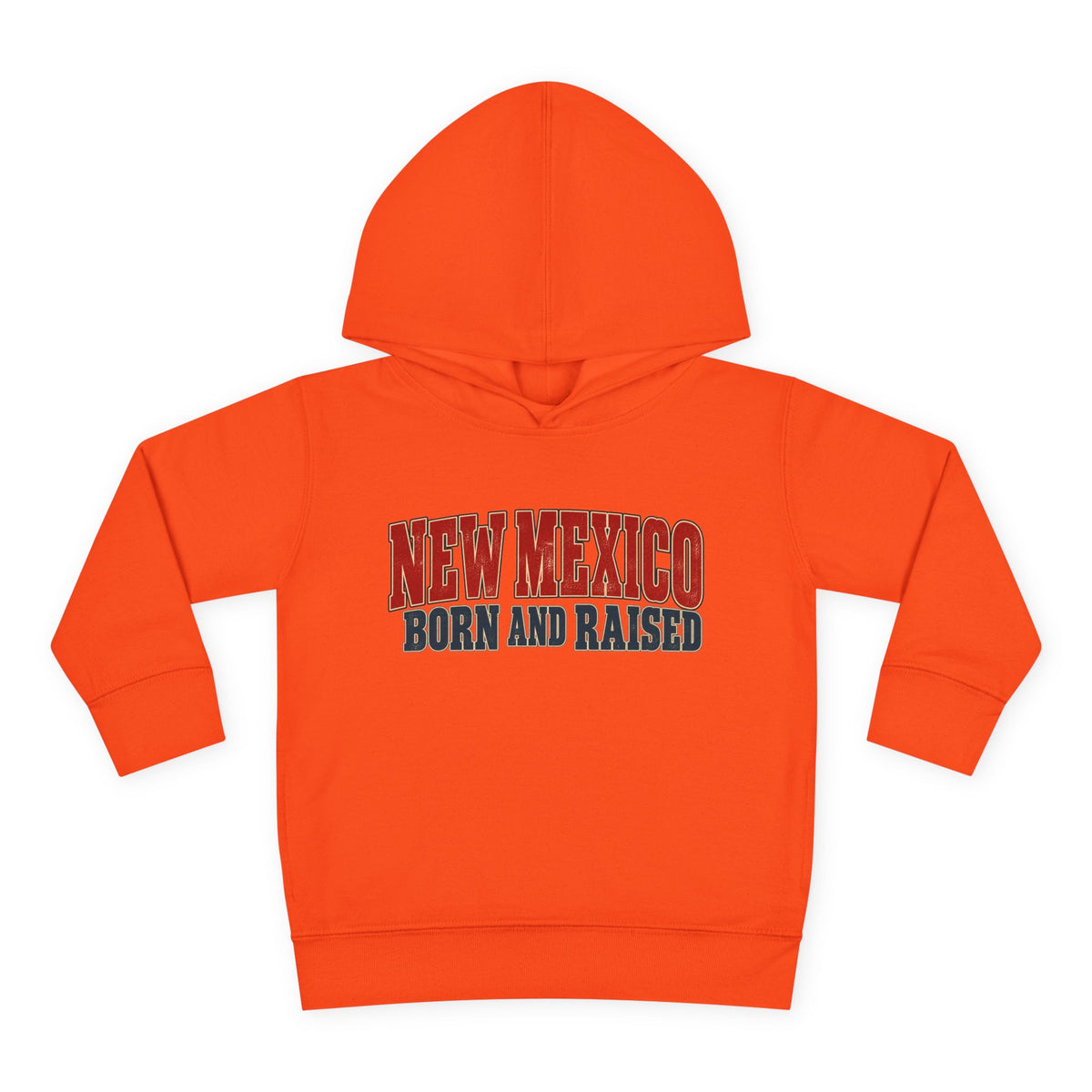 New Mexico Born and Raised Vintage Americana Unisex Toddler Pullover Fleece Hoodie