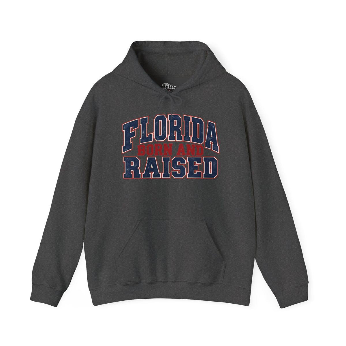 Florida Born and Raised Unisex Hoodie State Name Graphic