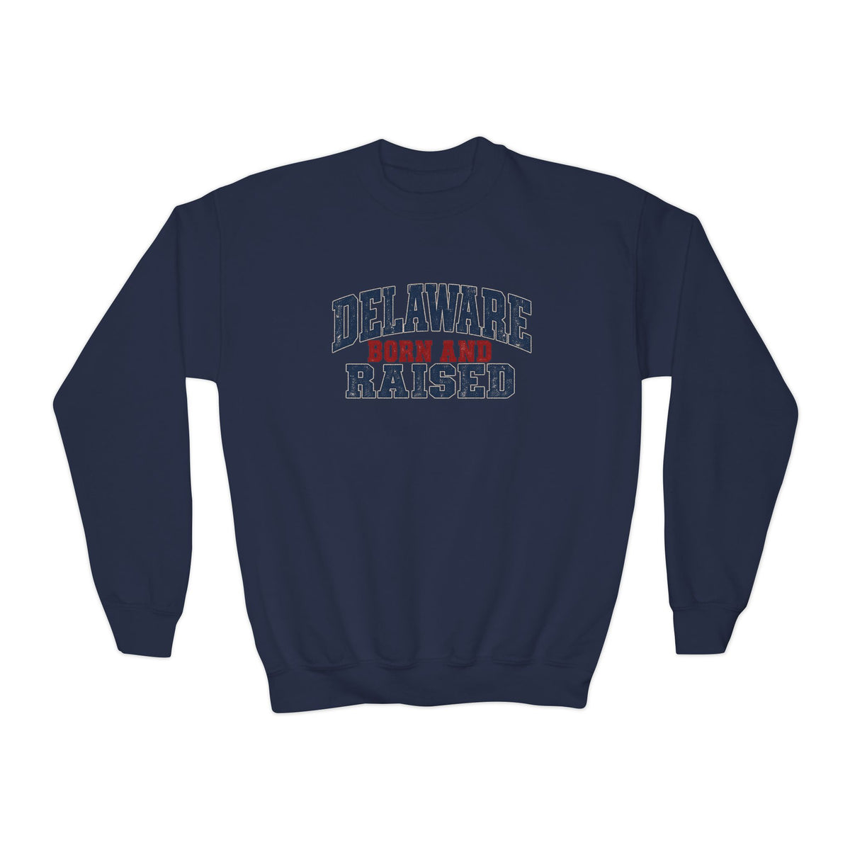 Delaware Born and Raised Rustic Heritage Unisex Youth Crewneck Sweatshirt Graphic