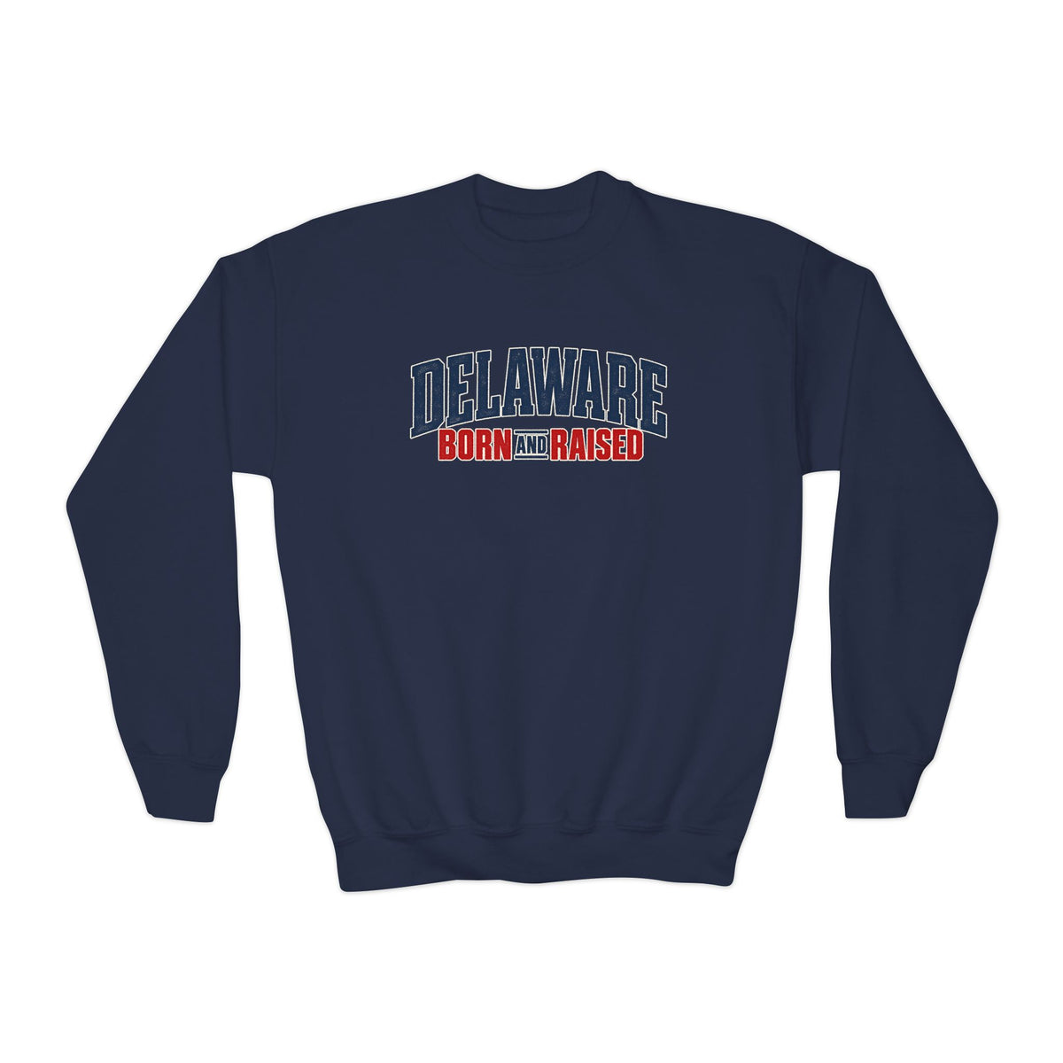 Delaware Born and Raised East Coast Streetwear Unisex Youth Crewneck Sweatshirt Graphic