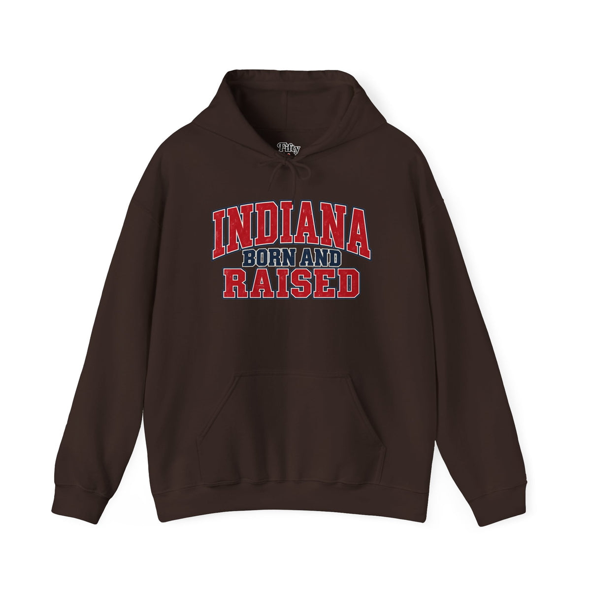 Indiana Born and Raised Vintage Collegiate Unisex Hoodie Graphic